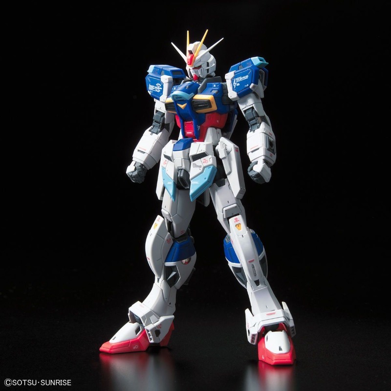 In Stock Bandai RG 1/144 ZGMF- - огляд і ціна Bandai Model Gundam Rg
